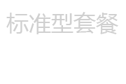 网站建设标准型套餐